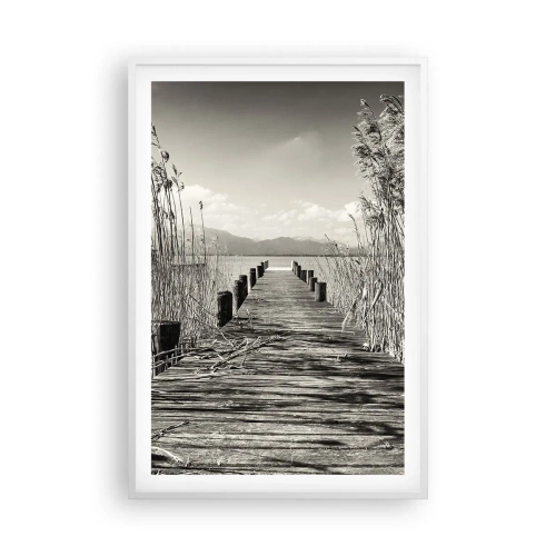 Poster in einem weißen Rahmen - In der Stille des Grases - 61x91 cm