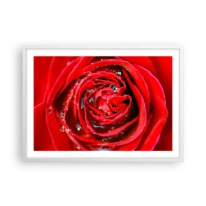 Poster in einem weißen Rahmen - In den Tautropfen - 70x50 cm