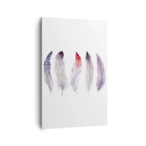 Bild auf Leinwand - Leinwandbild - Fünf zarte Federn in Pastelltönen auf hellem Untergrund - 80x120cm - Zart wie mehrfarbiger Nebel - Moderne Wanddekoration für Wohnzimmer und Schlafzimmer ARTTOR
