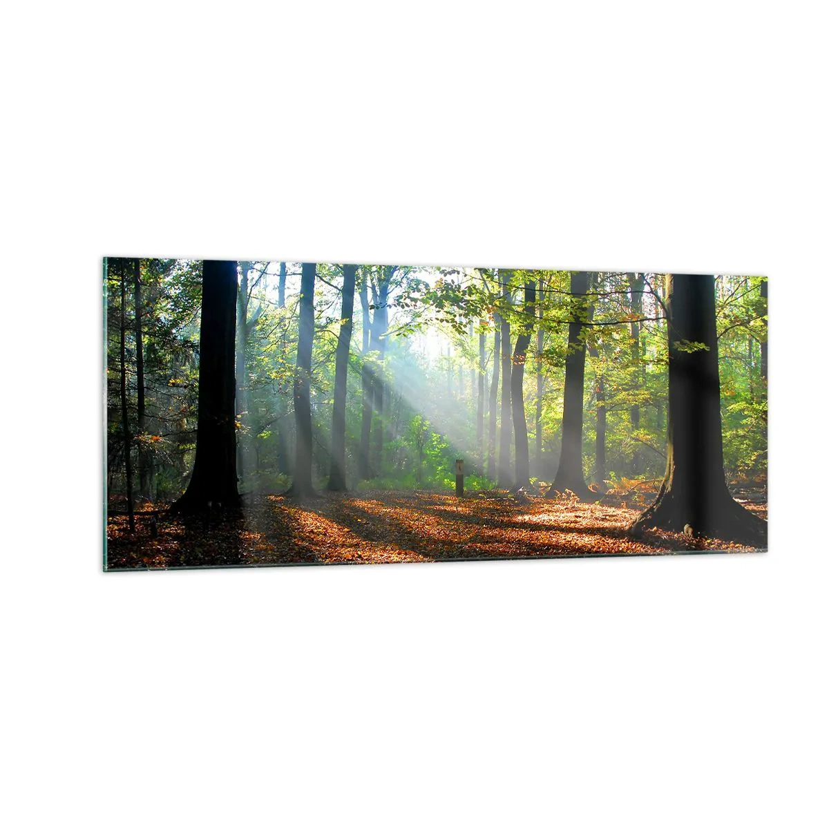 Glasbild - Bild auf glas - Licht und Schatten - 100x40 cm