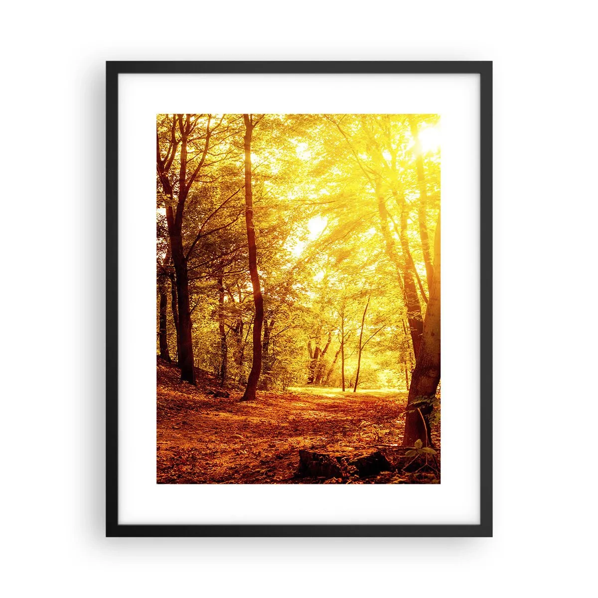 Poster in einem schwarzem Rahmen - Auf die goldene Lichtung - 40x50 cm