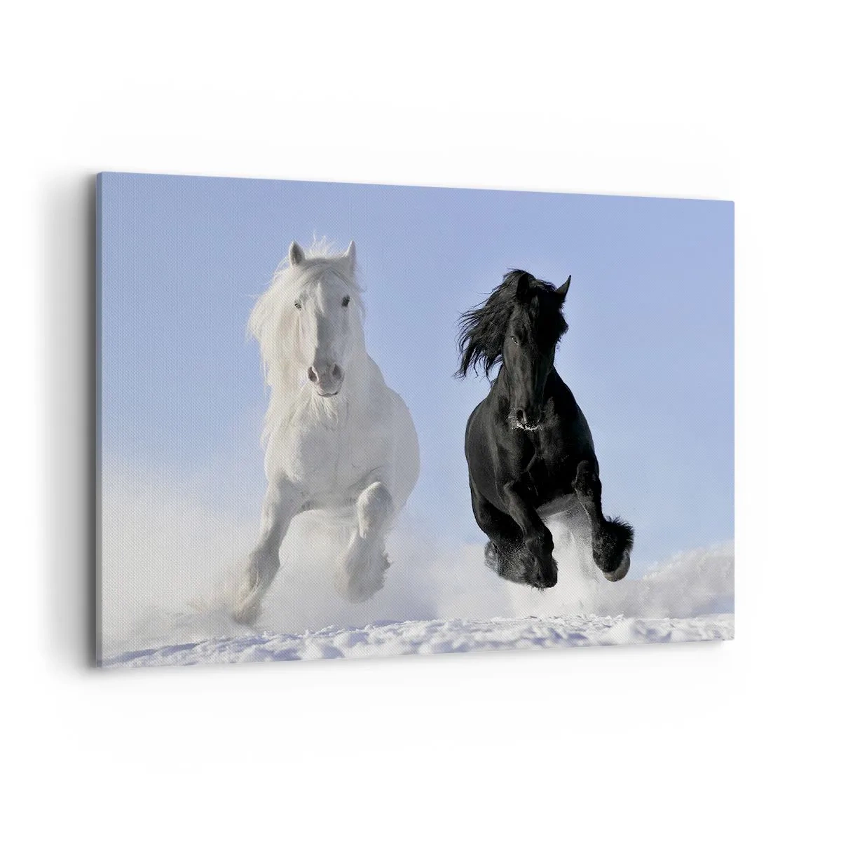 Bild auf Leinwand - Leinwandbild - Ein weißes und ein schwarzes Pferd galoppieren durch den Schnee - 100x70cm - Schwarz-Weiß-Galopp - Moderne Wanddekoration für Wohnzimmer und Schlafzimmer ARTTOR