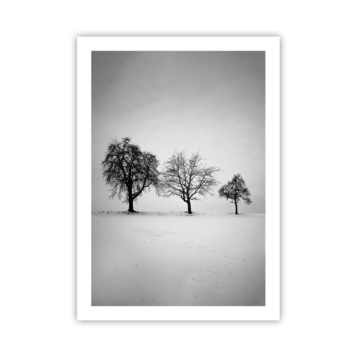 Poster - Drei Bäume in einem schneebedeckten Feld in Schwarz und Weiß - 50x70cm - Wovon träumen sie? - Moderne Wanddekoration für Wohnzimmer und Schlafzimmer ARTTOR