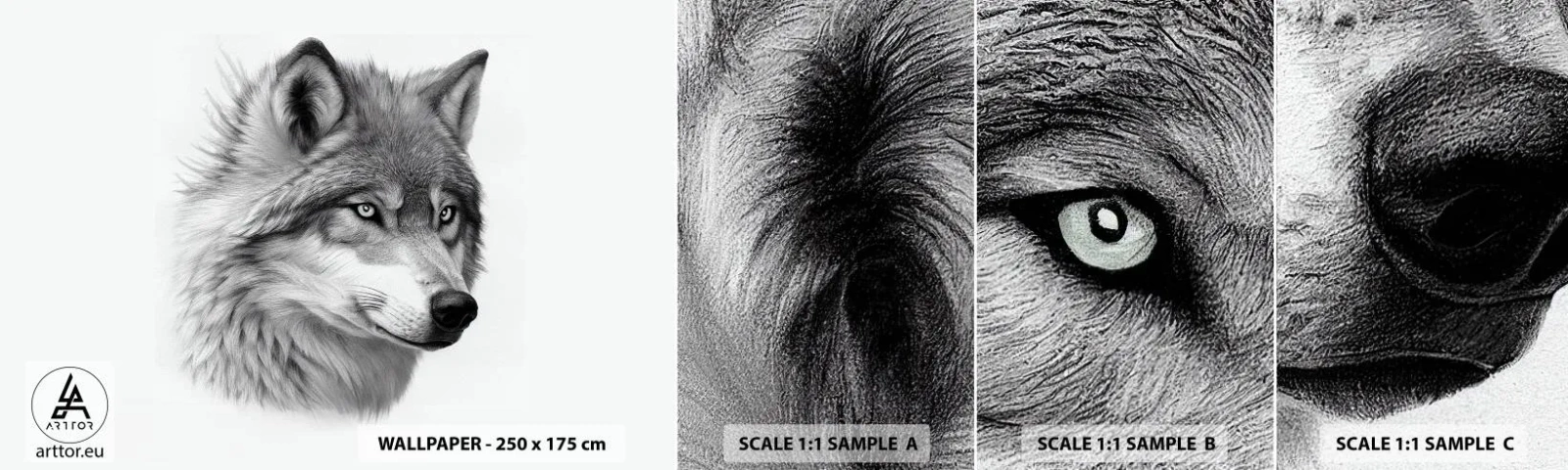 Fototapetenmuster Standard Eco - Alpha – ohne Zweifel - Wolf, Tier, skandinavisch - 100x30 cm
