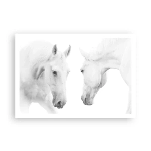 Poster - Ein minimalistisches Porträt zweier weißer Pferde - 100x70cm - Ist das Freundschaft...? - Moderne Wanddekoration für Wohnzimmer und Schlafzimmer ARTTOR