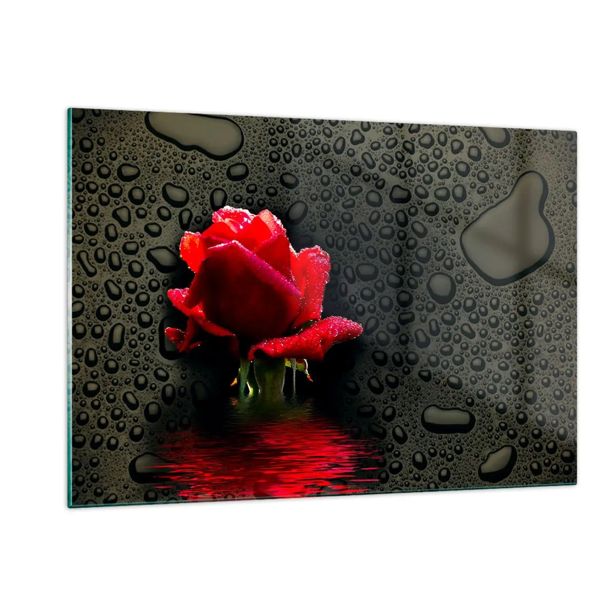 Glasbild - Bild auf glas - Rote Rose mit Wassertropfen auf dunklem Hintergrund - 120x80cm - rot und Schwarz - Moderne Wanddekoration für Wohnzimmer und Schlafzimmer ARTTOR