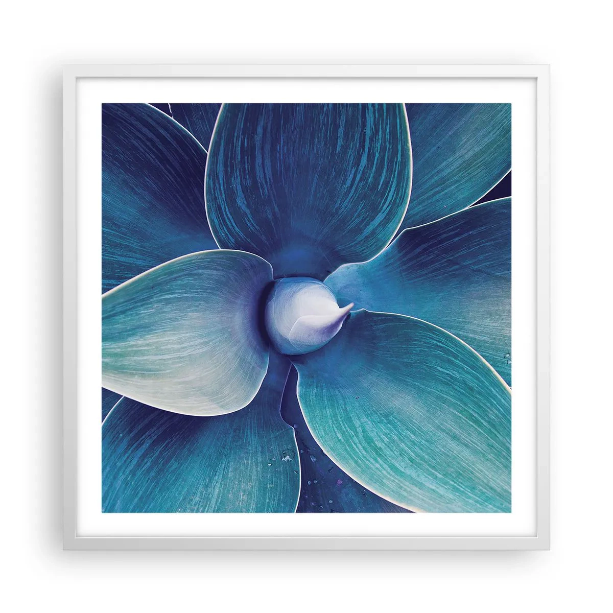 Poster in einem weißen Rahmen - Bläulich vom Himmel - 60x60 cm