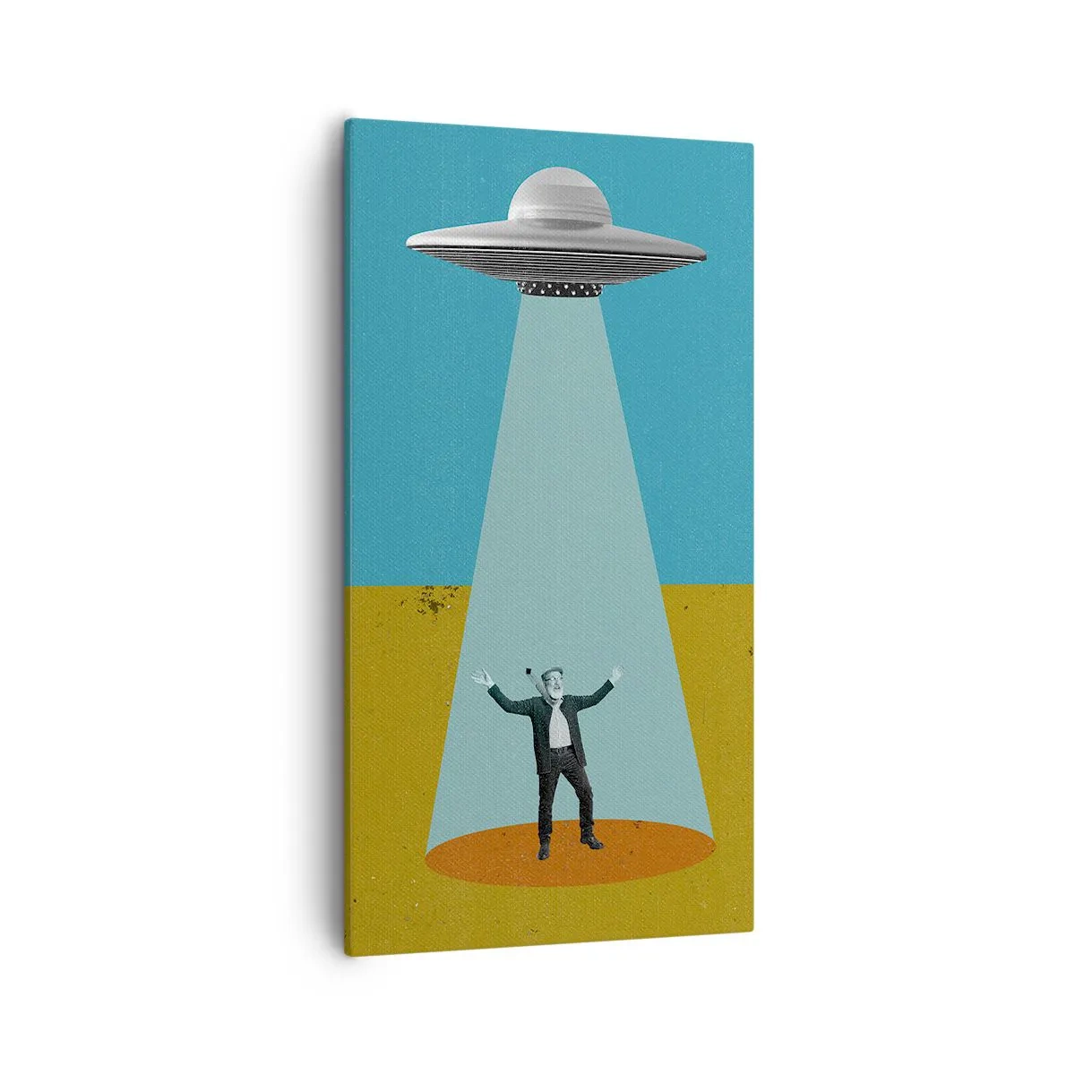 Bild auf Leinwand - Leinwandbild - Nahe Begegnung - 55x100 cm