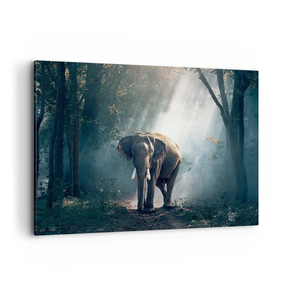 Bild auf Leinwand - Leinwandbild - Elefant im Waldlicht - 120x80cm - Ein gemütlicher Spaziergang - Moderne Wanddekoration für Wohnzimmer und Schlafzimmer ARTTOR