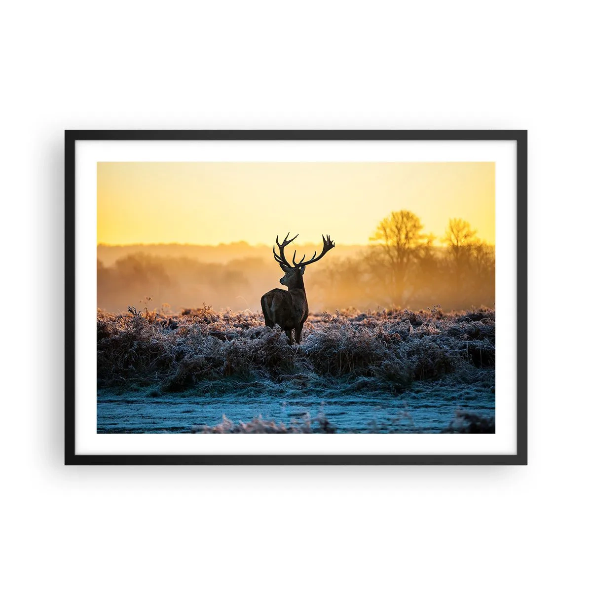 Poster in einem schwarzem Rahmen - Ein Reh auf einer frostigen Lichtung bei Sonnenaufgang - 70x50cm - Gekrönt auf seinem Besitz - Moderne Wanddekoration für Wohnzimmer und Schlafzimmer ARTTOR