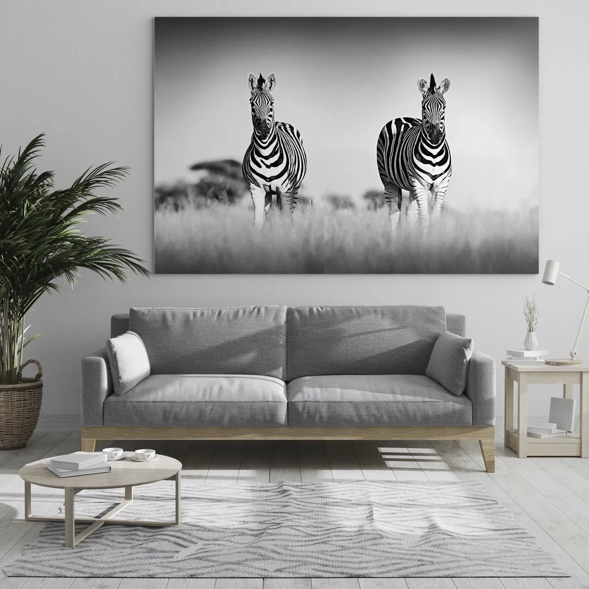 Glasbild - Bild auf glas - Ein Zebrapaar vor einem schwarz-weißen Grashintergrund, dargestellt in ihrem natürlichen Lebensraum. - 70x50cm - Die Welt ist doch schwarz-weiß - Moderne Wanddekoration für Wohnzimmer und Schlafzimmer ARTTOR