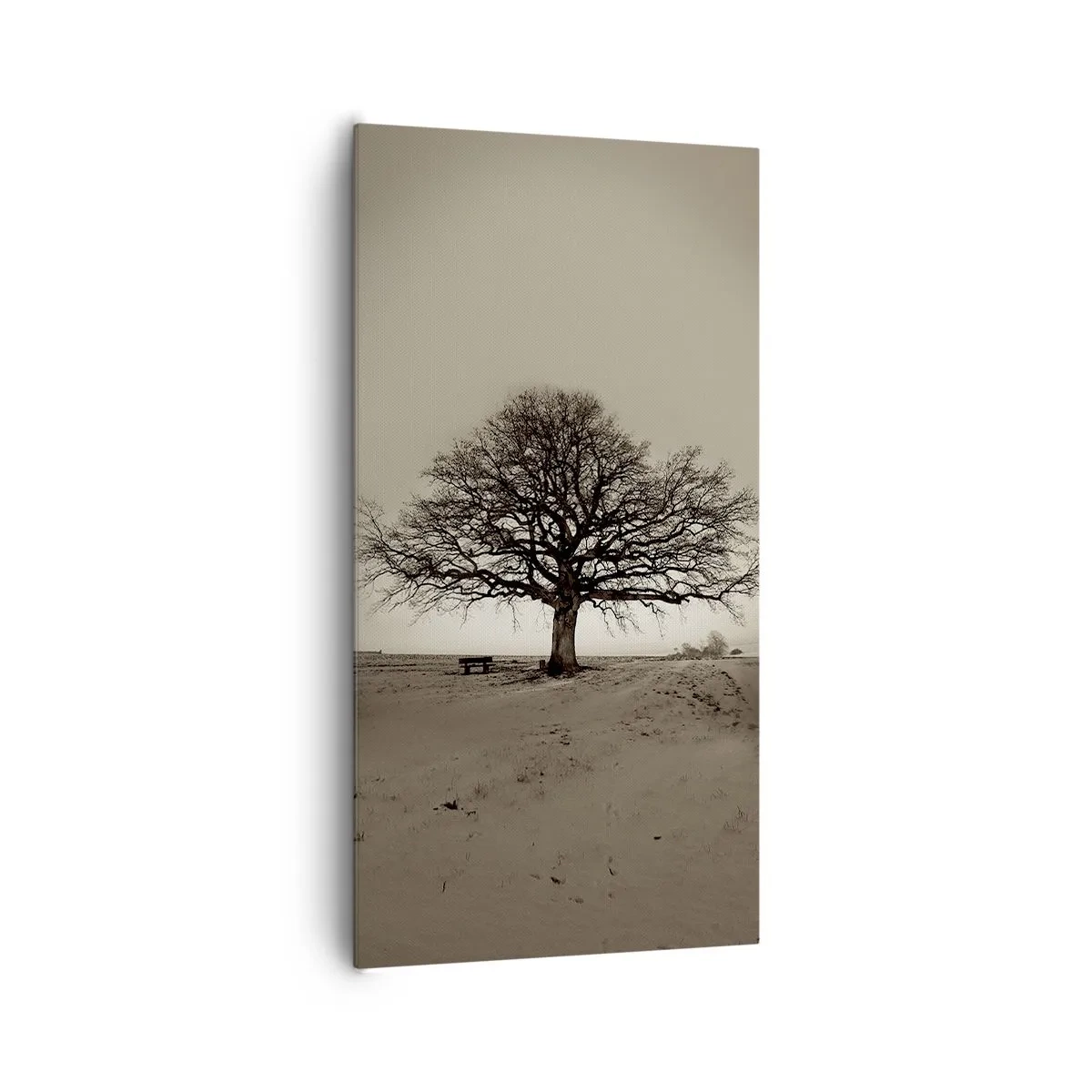 Bild auf Leinwand - Leinwandbild - Von hier zu Ewigkeit - 65x120 cm