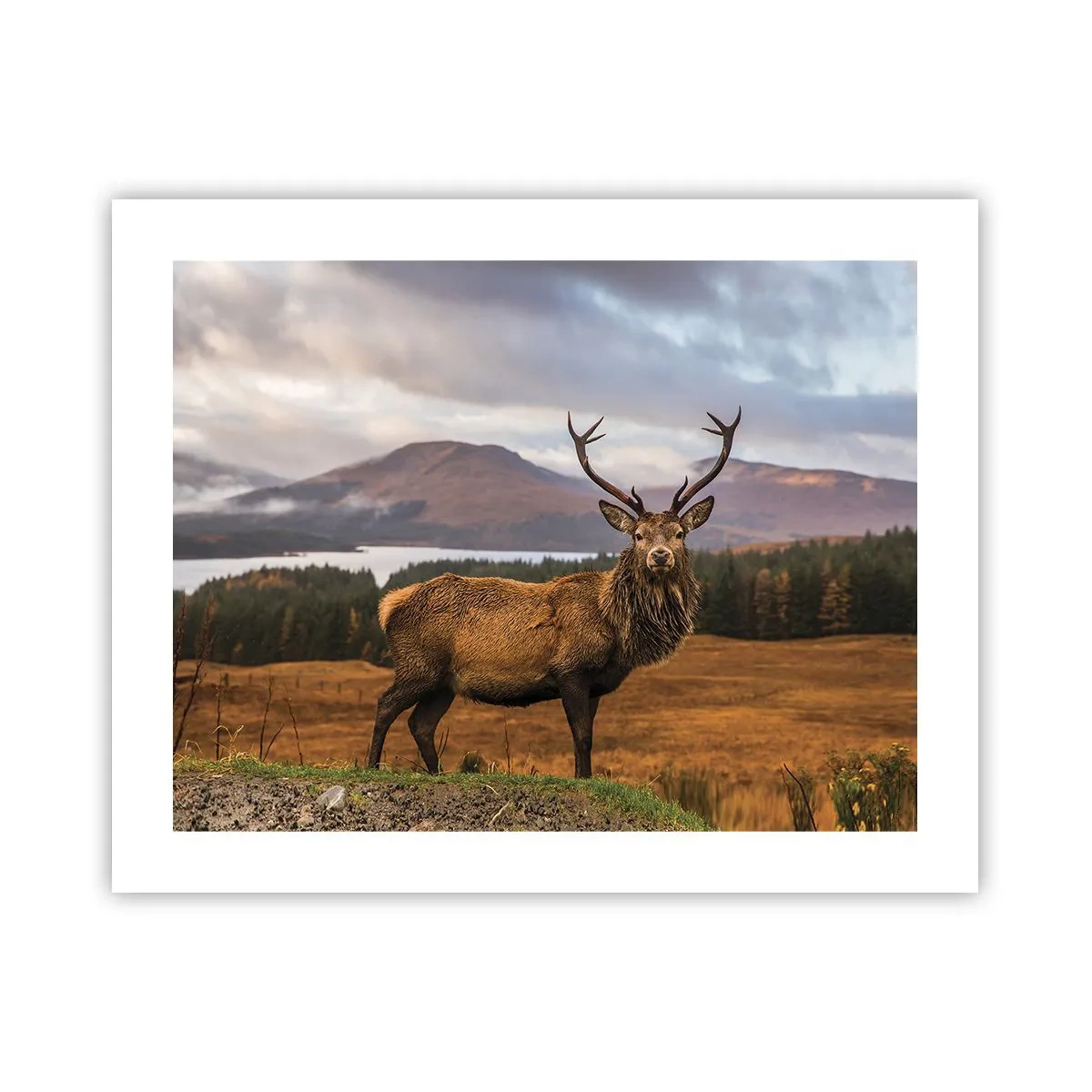 Poster - Die Majestät der Natur - 50x40 cm