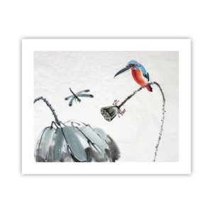 Poster - Das Leben der Wiese - 50x40 cm