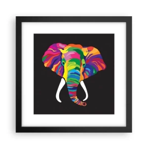 Poster in einem schwarzem Rahmen - Der Elefant, der es liebte, im Regenbogen zu baden - 30x30 cm