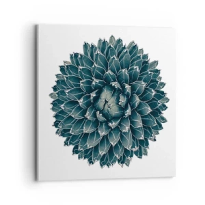 Bild auf Leinwand - Leinwandbild - Stern der Wüste - 70x70 cm