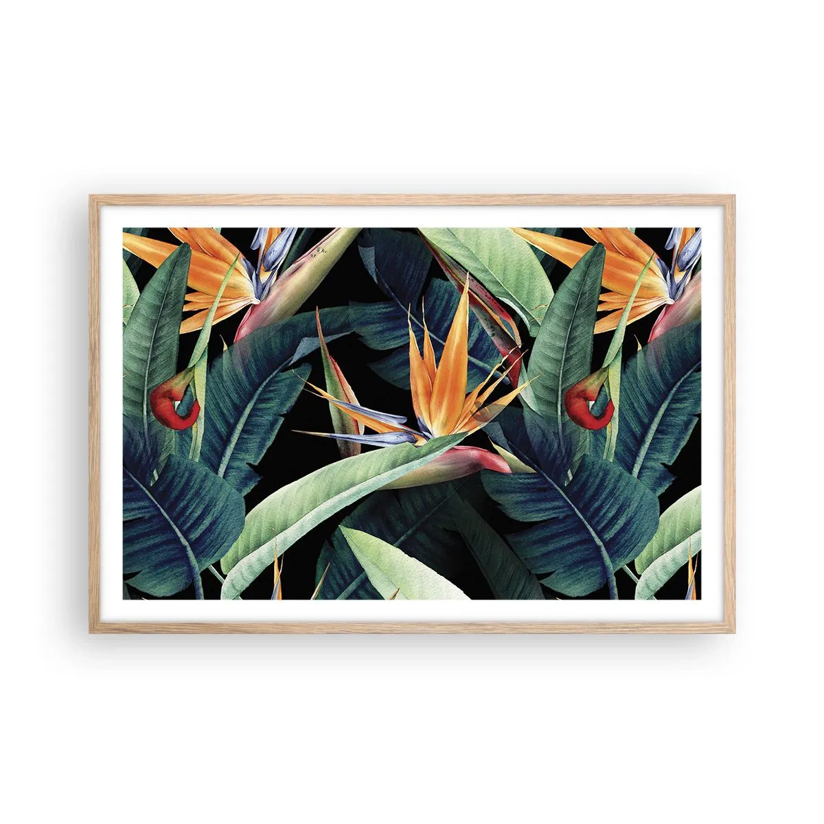 Poster in einem Rahmen aus heller Eiche - Flammende Blumen der Tropen - 91x61 cm