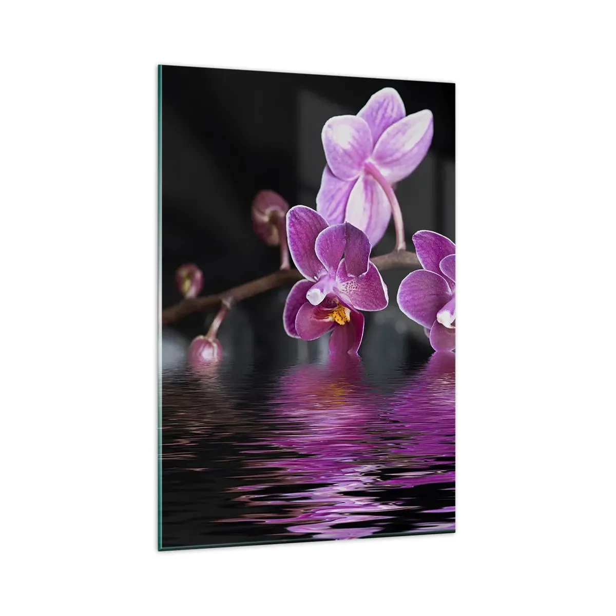 Glasbild - Bild auf glas - Lila Orchideen über ruhigem Wasser vor schwarzem Hintergrund - 80x120cm - Lila Spiegelbild der Schönheit - Moderne Wanddekoration für Wohnzimmer und Schlafzimmer ARTTOR
