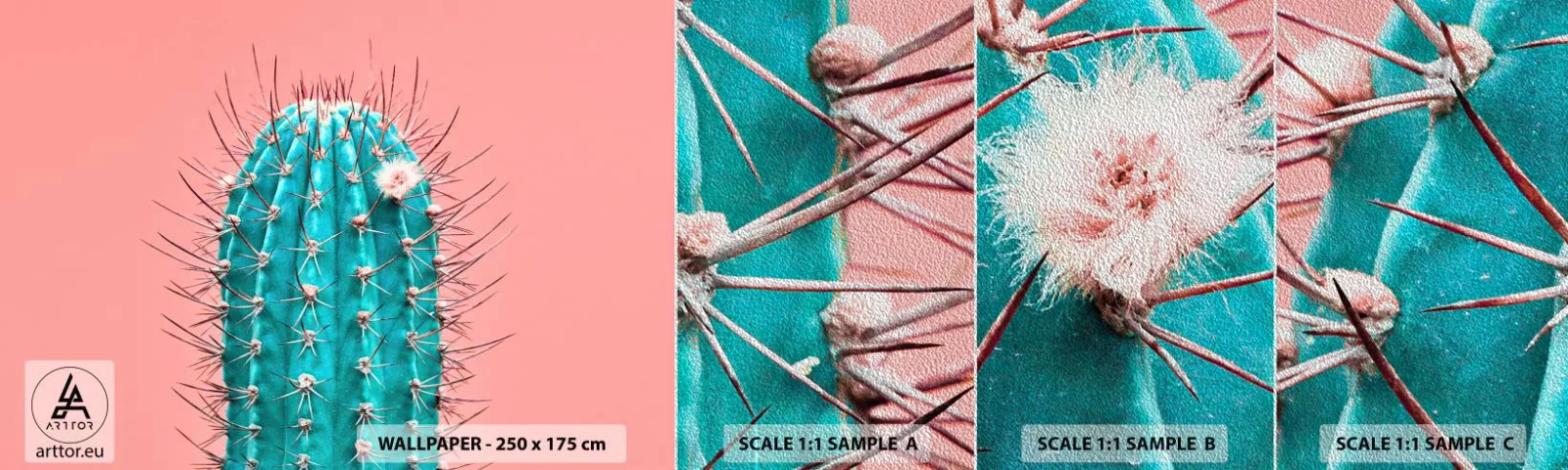 Fototapeten Muster Premium Sand - Schau einfach hin - Kaktus, Pastell, Minimalismus - 100x30 cm