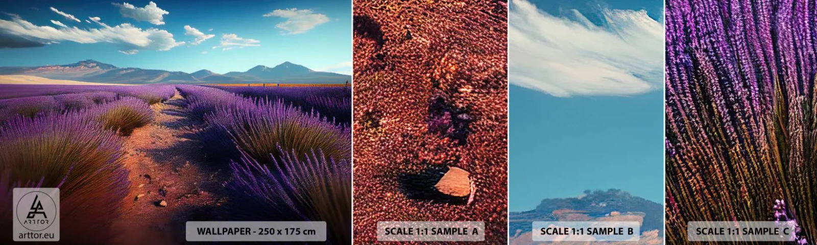 Fototapetenmuster Standard Eco - Duftende Felder - Lavendel, Horizont, Landschaft - 100x30 cm