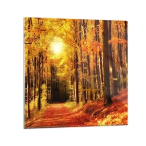 Glasbild - Bild auf glas - Goldener Herbst auf einer Forststraße - 40x40 cm