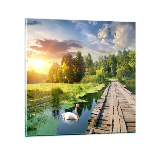 Glasbild - Bild auf glas - Sommer, Sommer überall - 40x40 cm