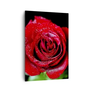 Bild auf Leinwand - Leinwandbild - Eine rote Rose mit Tautropfen auf schwarzem Hintergrund. - 70x100cm - Das ist Liebe - Moderne Wanddekoration für Wohnzimmer und Schlafzimmer ARTTOR