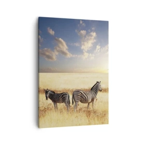 Bild auf Leinwand - Leinwandbild - Zwei Zebras in der Savanne in den Strahlen der untergehenden Sonne - 50x70cm - Geh weg, sei nicht in Frieden - Moderne Wanddekoration für Wohnzimmer und Schlafzimmer ARTTOR