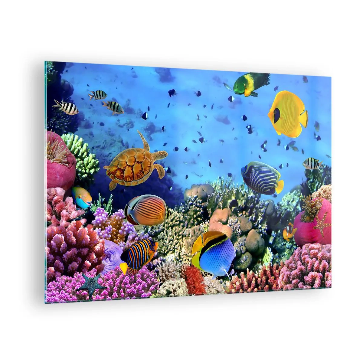 Glasbild - Bild auf glas - Bunte Fische und eine Meeresschildkröte vor einem Korallenriff - 70x50cm - Und was wissen wir über das Leben ... - Moderne Wanddekoration für Wohnzimmer und Schlafzimmer ARTTOR