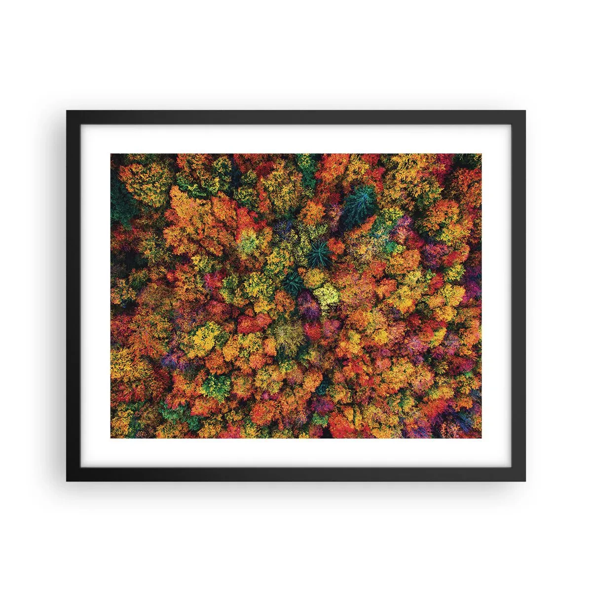 Poster in einem schwarzem Rahmen - Blumenstrauß aus Herbstbäumen - 50x40 cm