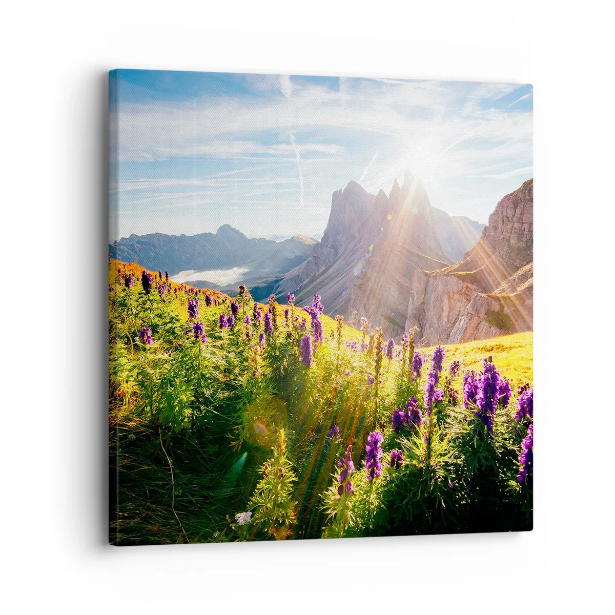 Bild auf Leinwand - Leinwandbild - Das geheime Leben der Kräuter - 30x30 cm