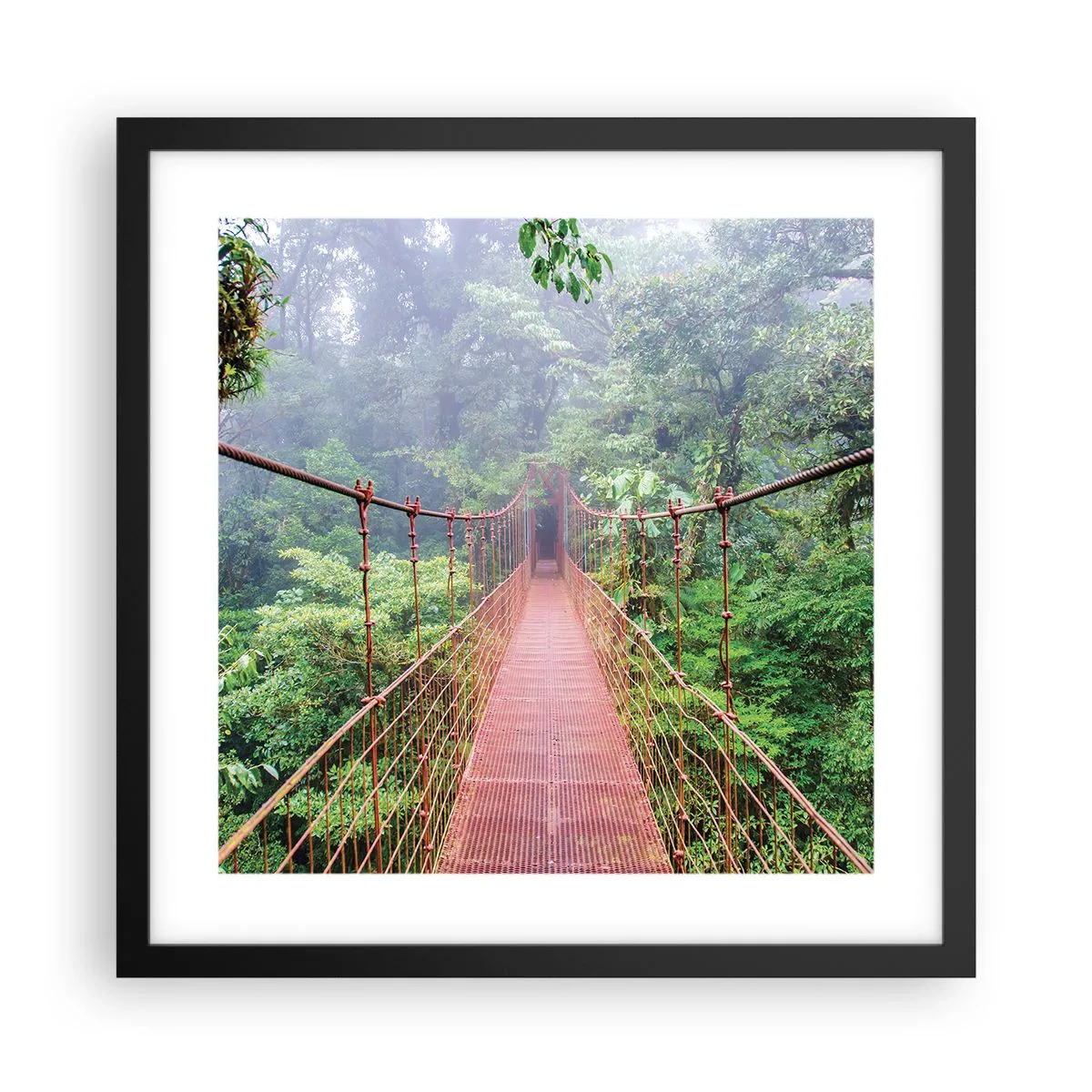 Poster in einem schwarzem Rahmen - Über den Kronen aufgehängt - 40x40 cm