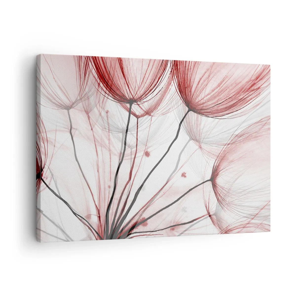 Bild auf Leinwand - Leinwandbild - Zarte Blüten in Rottönen auf hellem Untergrund - 70x50cm - Vor der Abfahrt - Moderne Wanddekoration für Wohnzimmer und Schlafzimmer ARTTOR