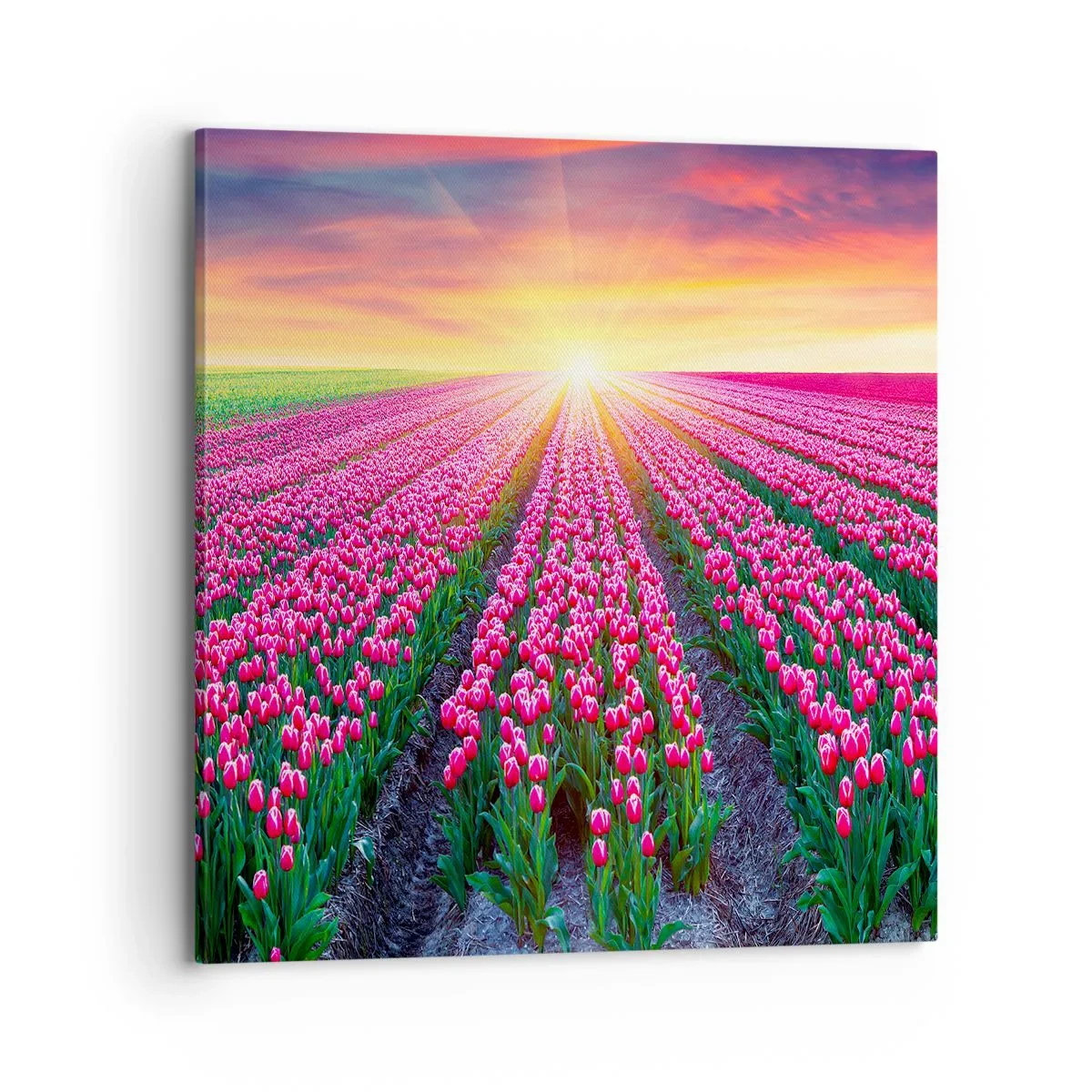Bild auf Leinwand - Leinwandbild - Schönheitsfarm - 70x70 cm