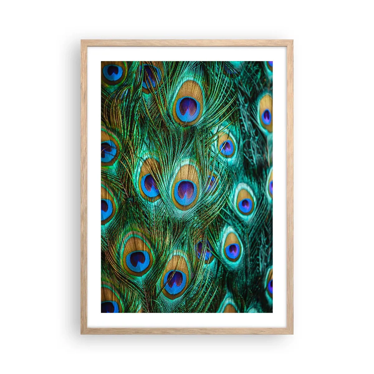 Poster in einem Rahmen aus heller Eiche - Ein Blick mit Pfauenaugen - 50x70 cm