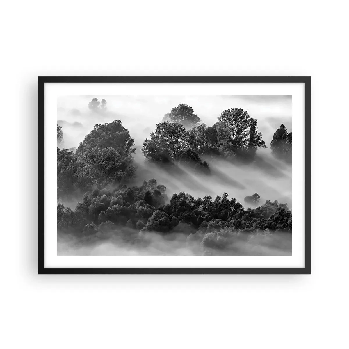Poster in einem schwarzem Rahmen - Schwarz-weiße Waldlandschaft im Morgennebel - 70x50cm - Aufstehend aus dem Schlaf - Moderne Wanddekoration für Wohnzimmer und Schlafzimmer ARTTOR
