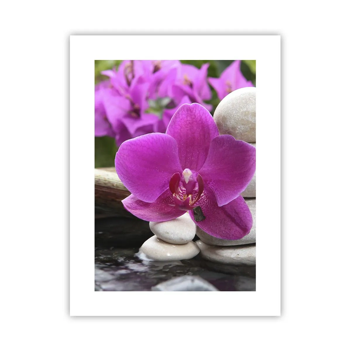 Poster - Du ruhst dich schon aus - 30x40 cm