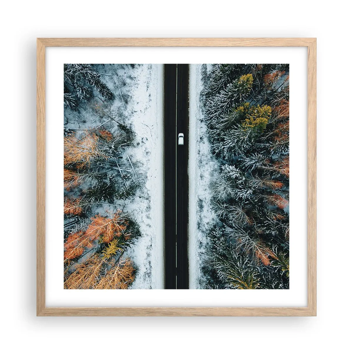 Poster in einem Rahmen aus heller Eiche - Schnitt durch den Winterwald - 50x50 cm