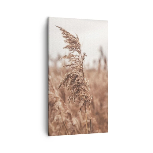 Bild auf Leinwand - Leinwandbild - Auf den Feldern ist es schon Herbst - 45x80 cm