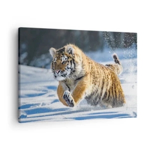 Bild auf Leinwand - Leinwandbild - Ein sibirischer Tiger läuft in einer verschneiten Landschaft - 70x50cm - Gott der sibirischen Taiga - Moderne Wanddekoration für Wohnzimmer und Schlafzimmer ARTTOR