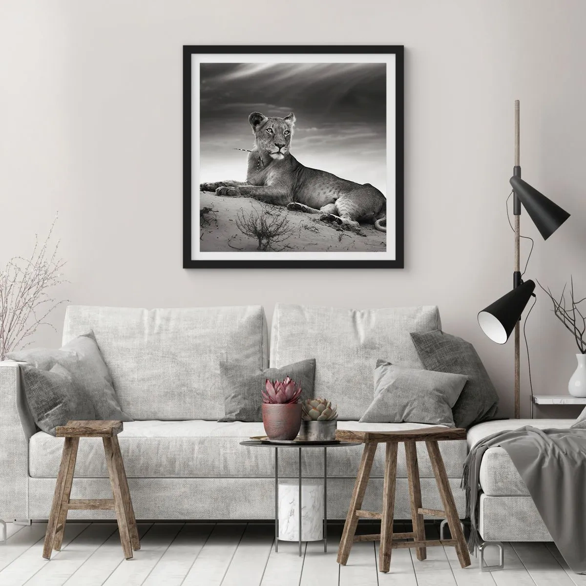 Poster in einem schwarzem Rahmen - Die Königin der Wüstenruhe - 40x40 cm