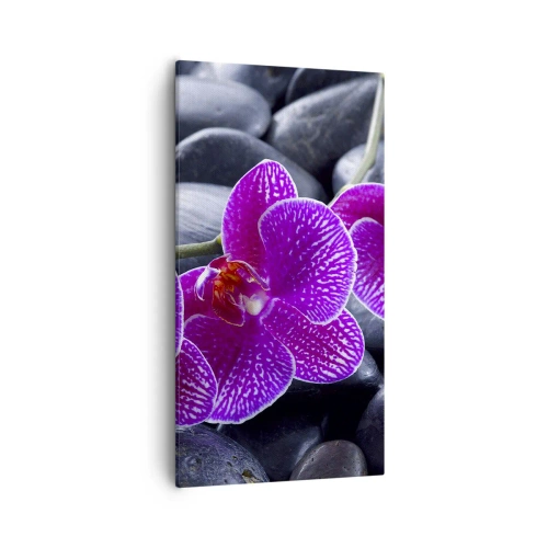 Bild auf Leinwand - Leinwandbild - Die Steine ​​glühten vor Freude - 55x100 cm