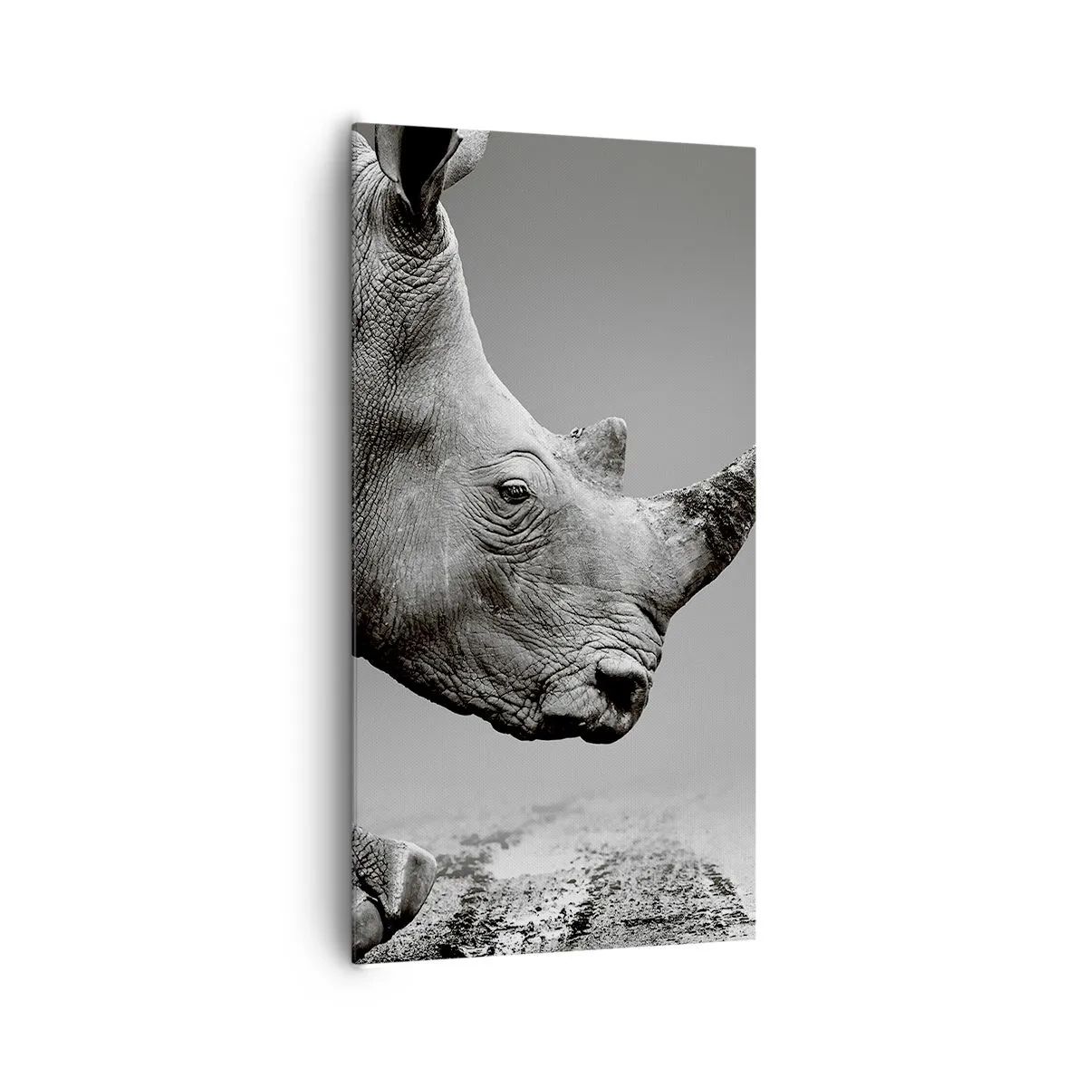 Bild auf Leinwand - Leinwandbild - Unaufhaltsame Stärke - 65x120 cm