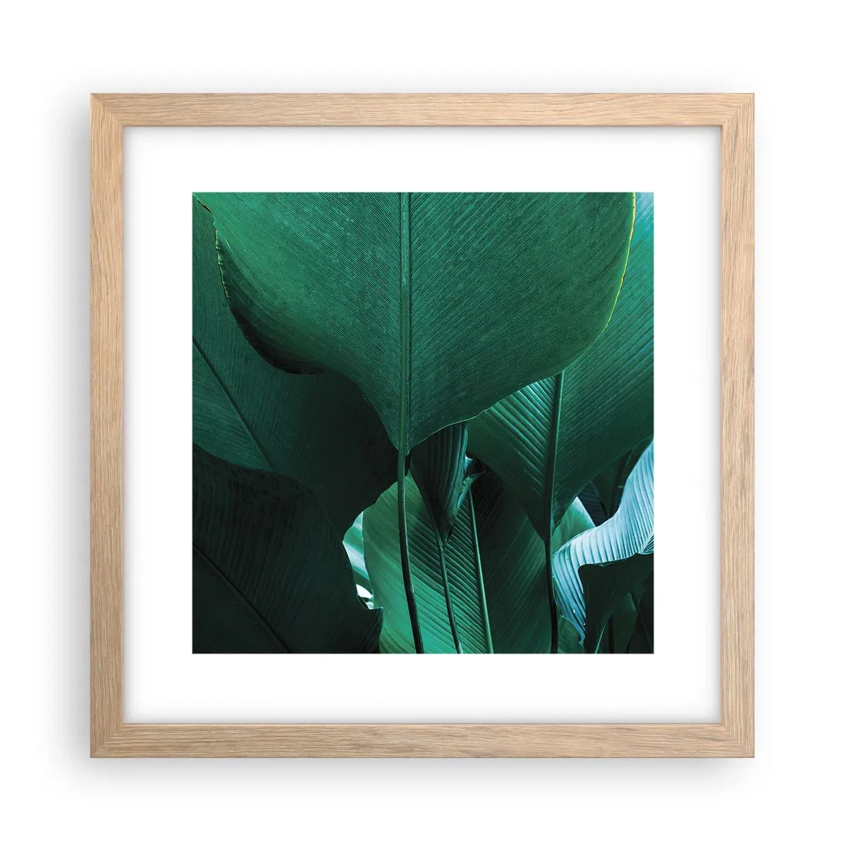 Poster in einem Rahmen aus heller Eiche - Dem Licht zugewandt - 30x30 cm