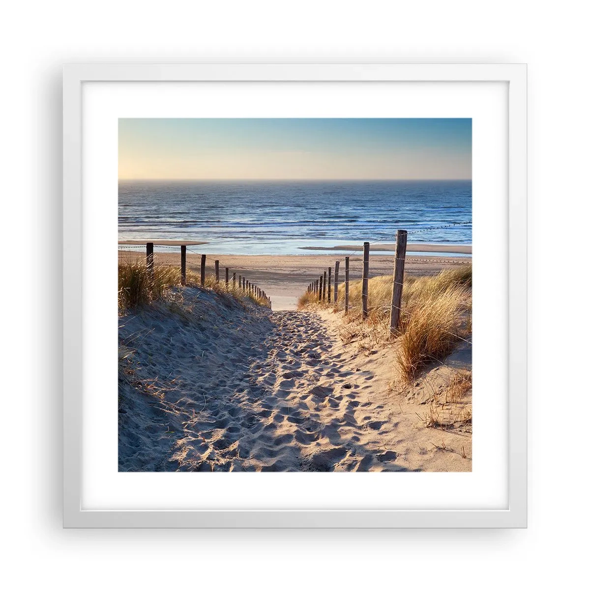 Poster in einem weißen Rahmen - Das Rauschen des Meeres, der Gesang der Vögel, ein wilder Strand im Gras ... - 40x40 cm
