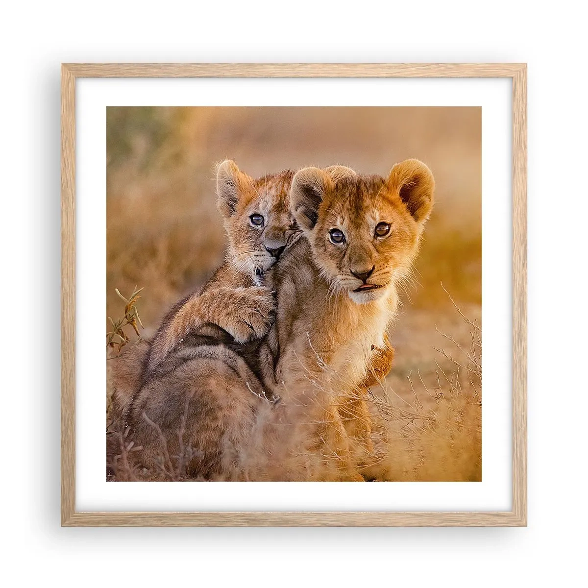 Poster in einem Rahmen aus heller Eiche - Bitte nicht stören! Wir haben Spaß - 50x50 cm