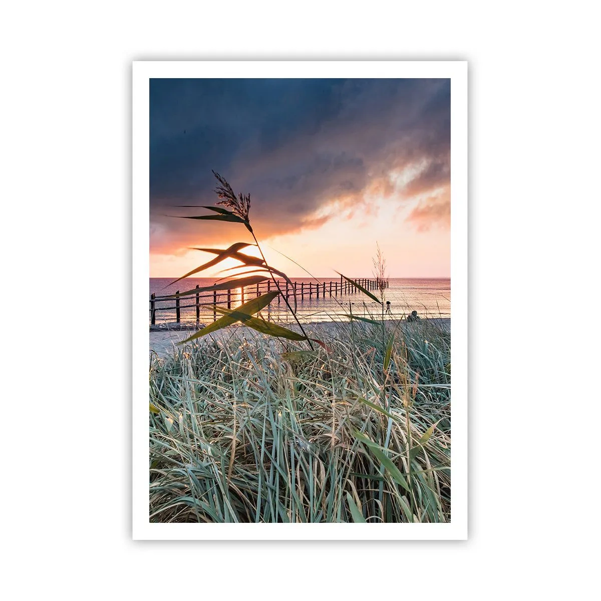 Poster - Es vergeht nicht mit dem Wind - 70x100 cm