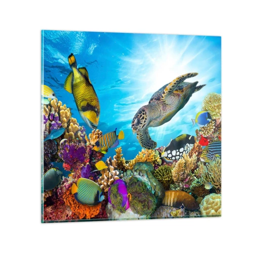 Glasbild - Bild auf glas - Korallenpromenade - 50x50 cm