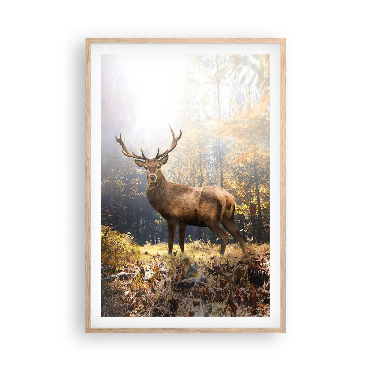 Poster in einem Rahmen aus heller Eiche - In voller Majestät - 61x91 cm