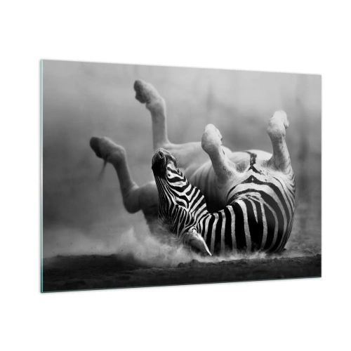 Glasbild - Bild auf glas - Ein liegendes Zebra in der afrikanischen Savanne - 100x70cm - Nicht nur das Pferd würde lachen - Moderne Wanddekoration für Wohnzimmer und Schlafzimmer ARTTOR